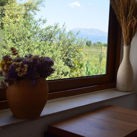 Rustic Tale Guesthouse Exterior photo